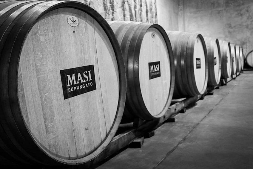 A row of wooden wine barrels with 'MASI TUPUNGATO' labels. 2