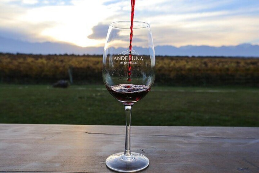 A glass of red wine being poured from a bottle. 1