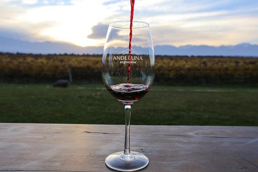 A glass of red wine being poured from a bottle, with a vineyard in the background. 1