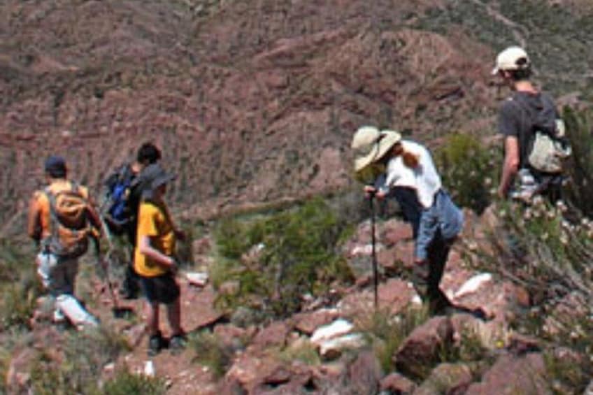 Trekking in Mendoza 3