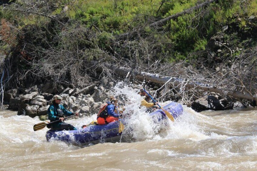 Two people kayaking in a river with rapids, surrounded by rocks and sparse vegetation. 2