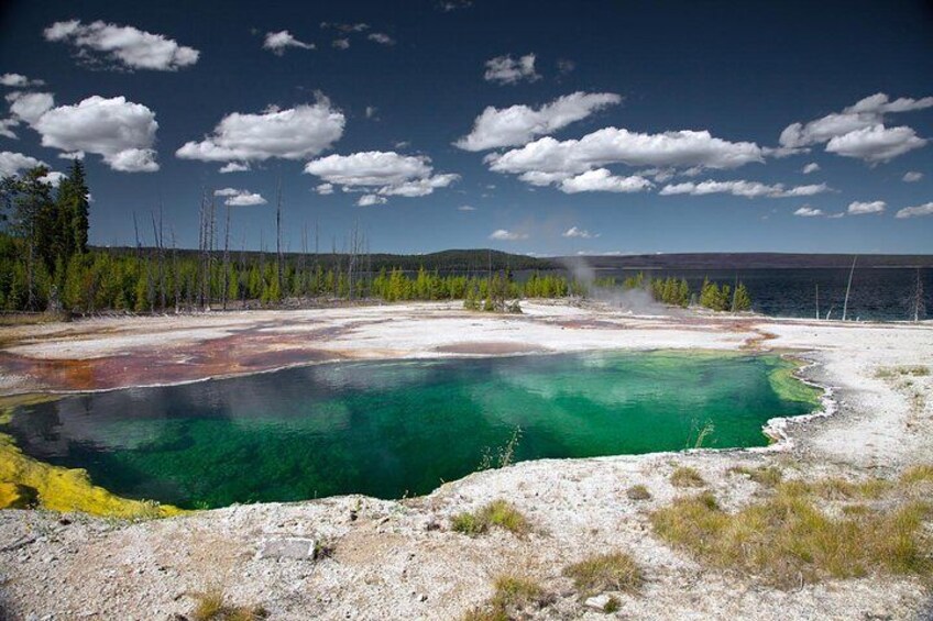 Yellowstone National Park Group Tour 1