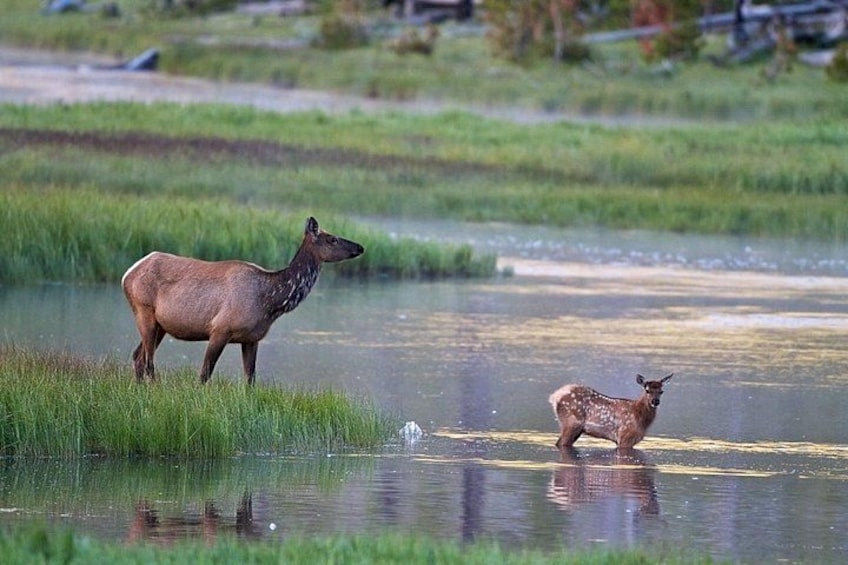 Photo by Daryl Hunter 2