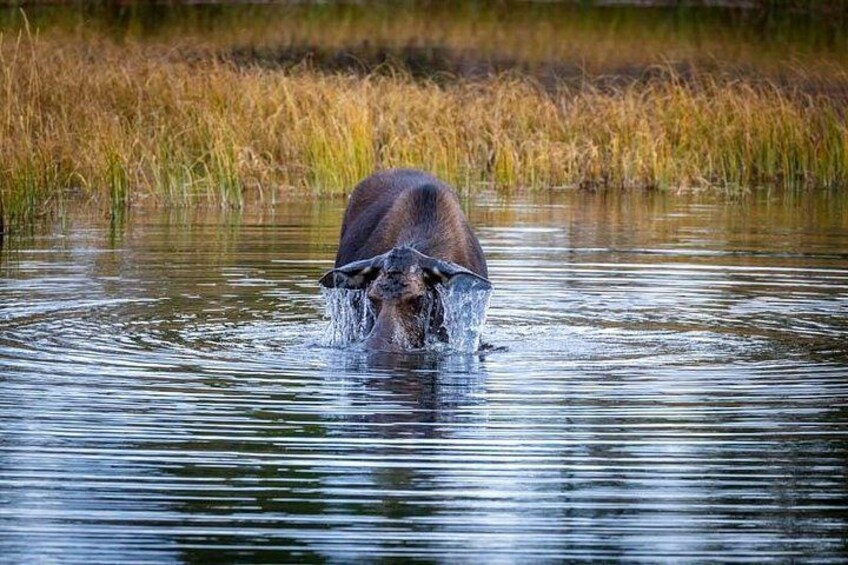 Photo by Loren Davis 4