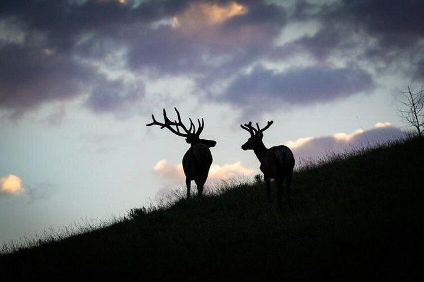Photo by Loren Davis 5