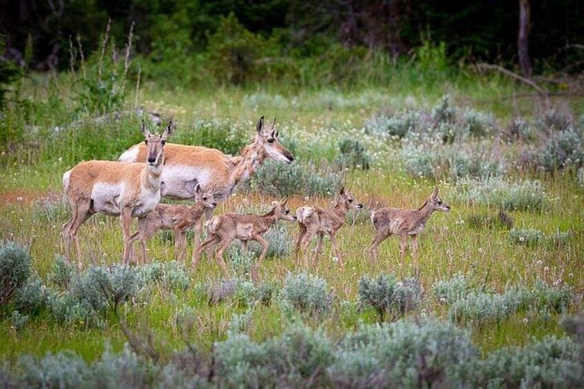 Photo by Loren Davis 2