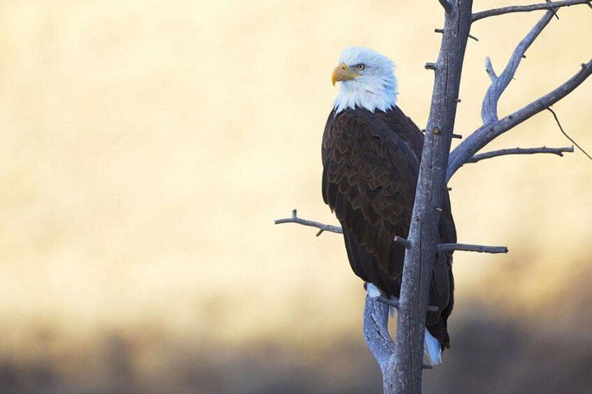 Photo by Daryl Hunter 2