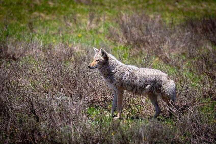 Photo by Loren Davis 3