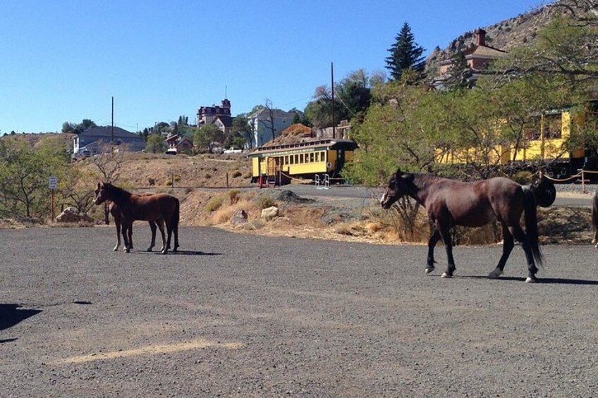Wild West Day Trip to Virginia City from Tahoe with Train Ride 3