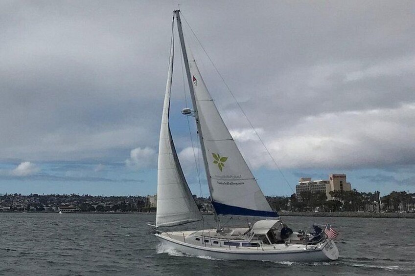 Private Sailing Charter on San Diego Bay 2