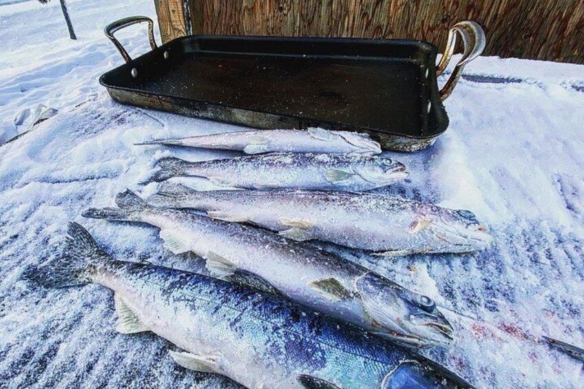 Plusieurs poissons sur une surface enneigée, avec une poêle et un fond en bois. 2