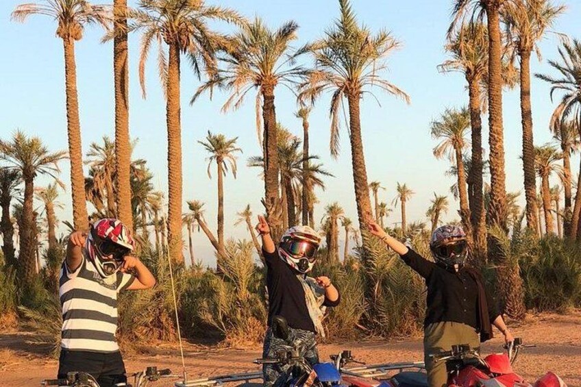 Palm trees 3
