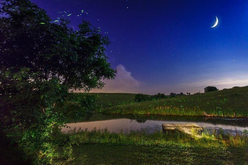 A nighttime landscape with a crescent moon, a pond, and a tree. 1