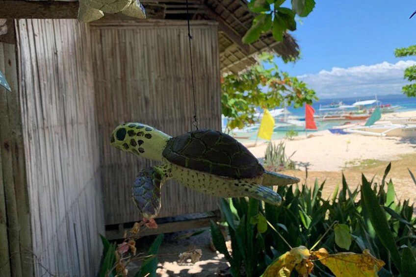 Bohol: Pamilacan Island Dolphin & Whale Watching Tour 3