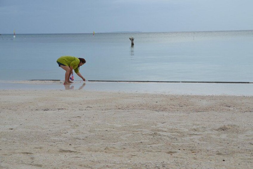 A person in a green shirt bending over near the water's edge on a sandy beach. 1