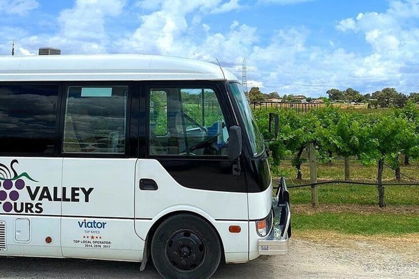 Swan Valley Tour from Perth: Wine, Beer and Chocolate Tastings 2