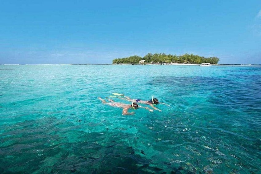 Two people snorkeling in clear turquoise water with an island in the background. 1