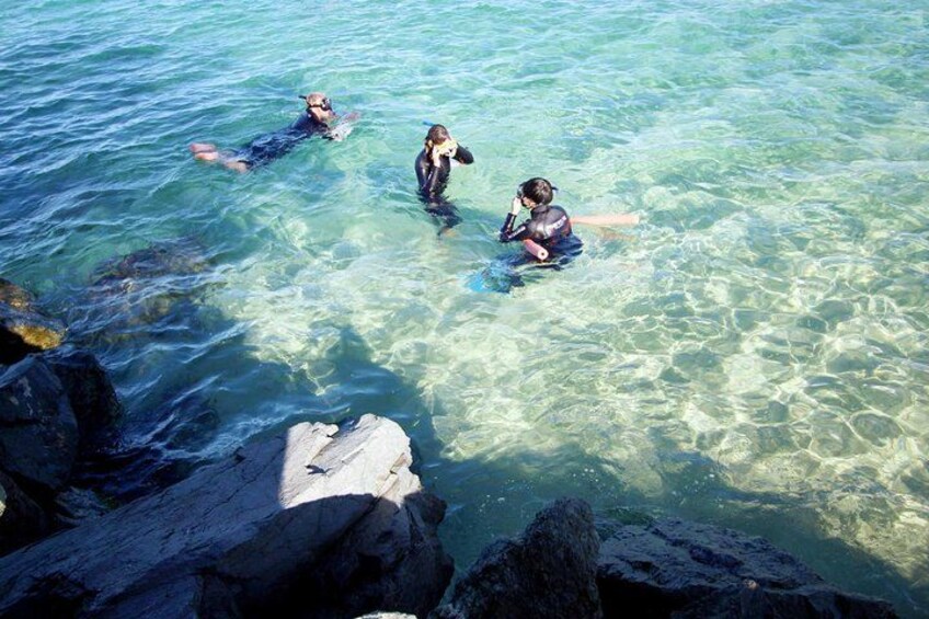 Gold Coast Snorkelling 4