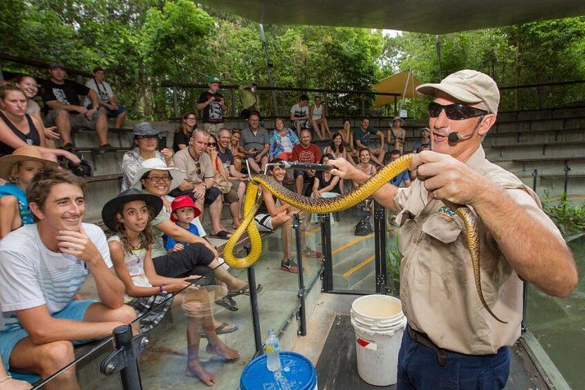 Breakfast with the Koalas at Hartley's Crocodile Park from Cairns or Palm Cove 2
