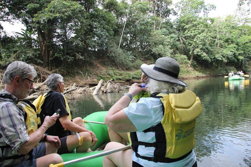 People in a green inflatable raft on a calm river surrounded by dense greenery. 5