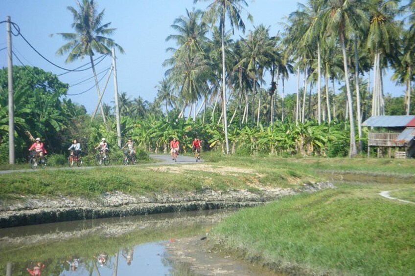 Half-Day Penang Countryside Cycling Tour 1
