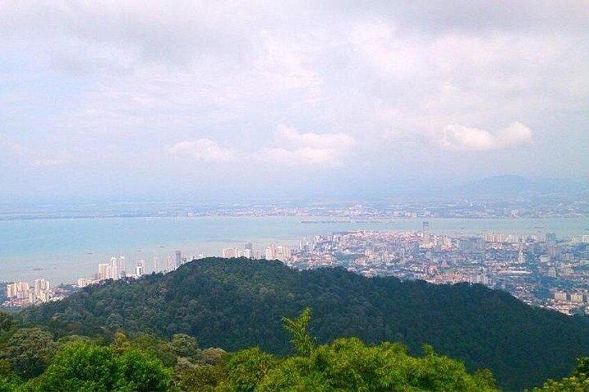 Panoramic View 2