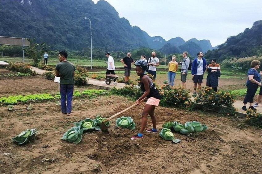 LEADING: All inclusive 3D/2N on cruises in HALONG - many options 5