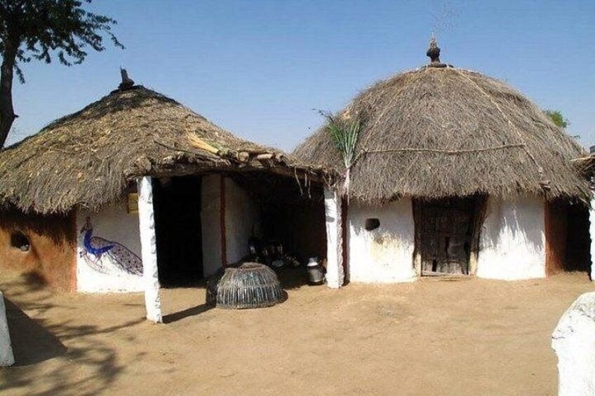 Private Tour: Village Safari Half-Day Tour In Jodhpur 2