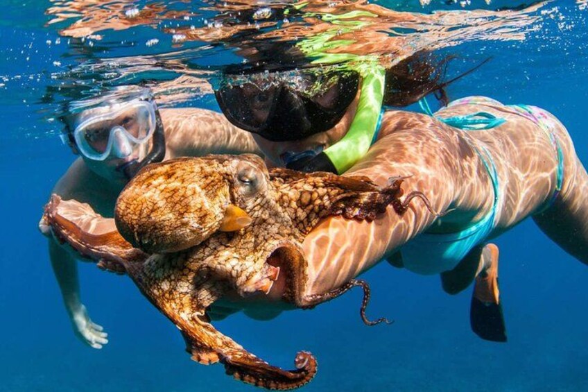 Private Bali Blue Lagoon Snorkeling with All-Inclusive Tour 5
