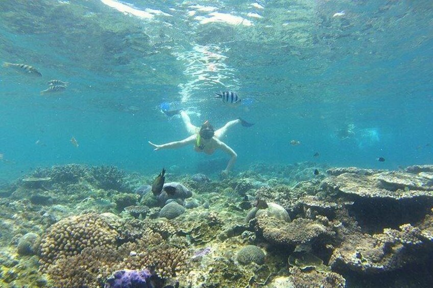 Private Bali Blue Lagoon Snorkeling with All-Inclusive Tour 2