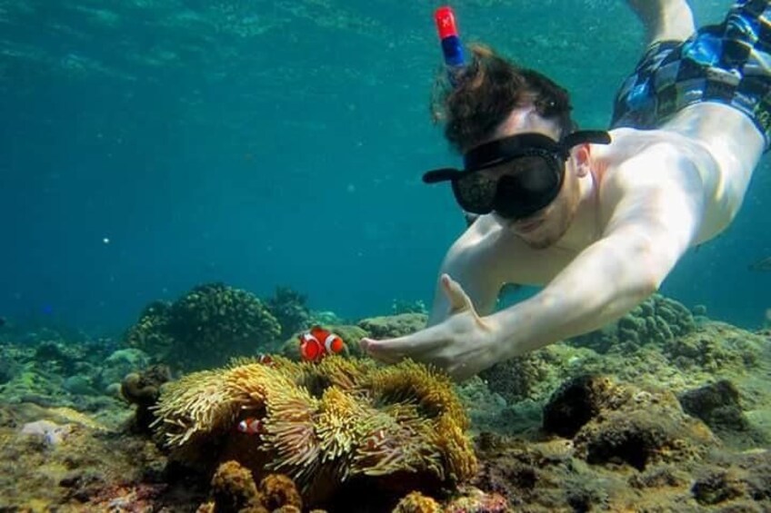 Private Bali Blue Lagoon Snorkeling with All-Inclusive Tour 3