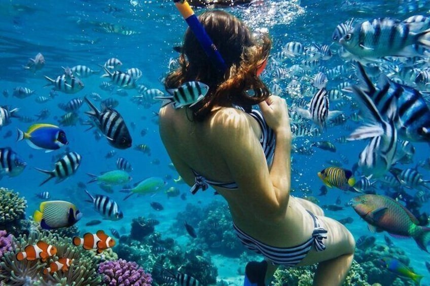 Bali Blue Lagoon Snorkeling with Lunch & Private Hotel Transfer 1