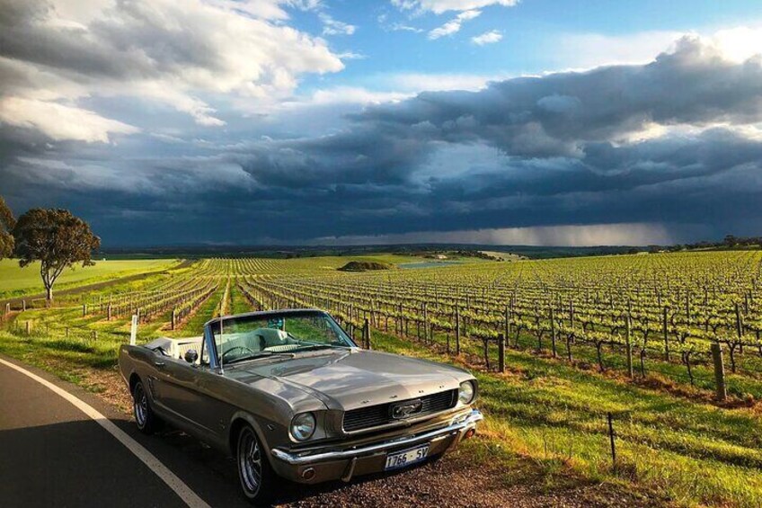 Classic Mustang Convertible Barossa Valley Half Day Private Tour For 2