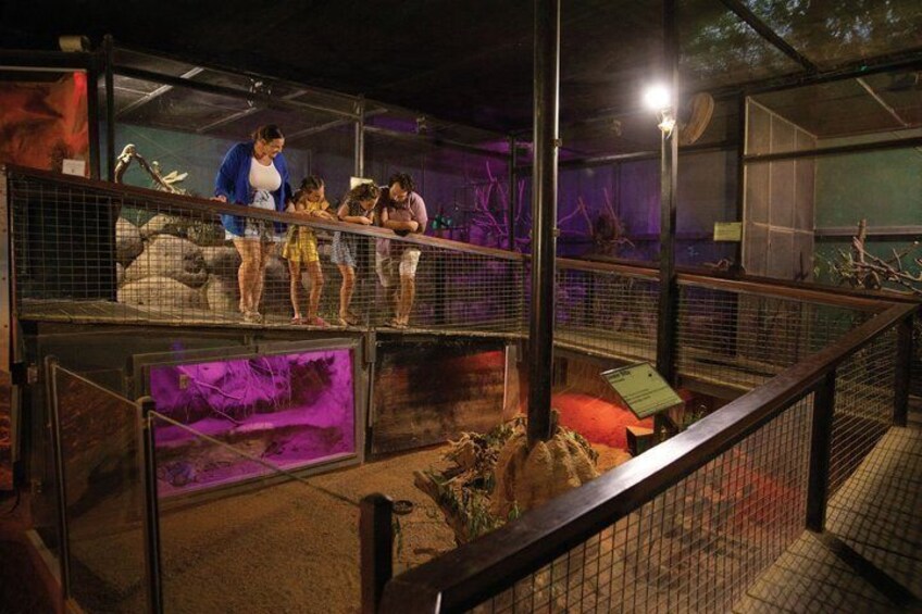 Kuranda Koala Gardens General Entry Ticket 2