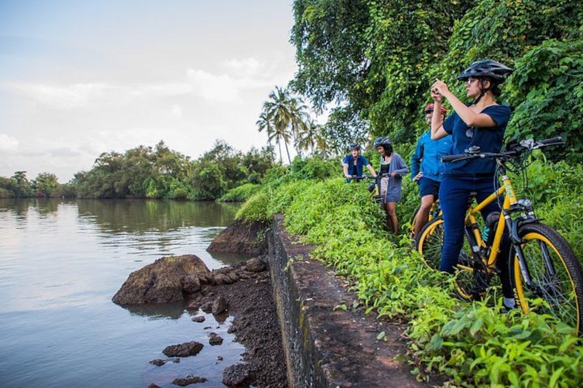 BLive Electric Bike Tours – Discovery of Divar Island 4