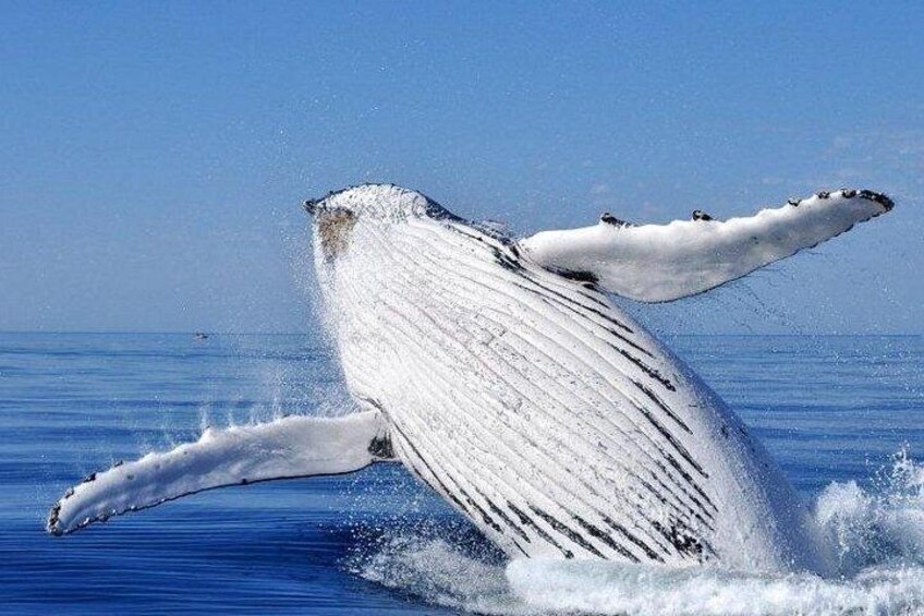 Taken off the Busselton jetty 2