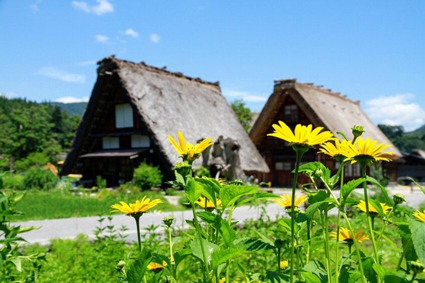 Shirakawago 2