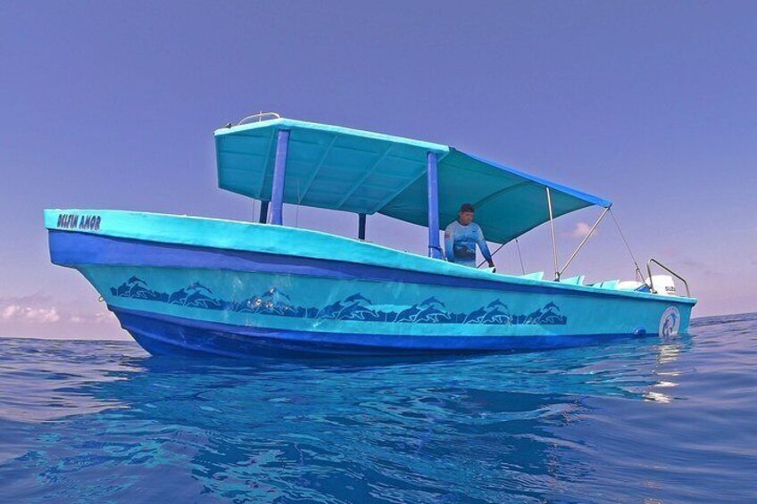 Our new custom designed tour boat!