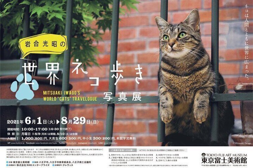 Tokyo Fuji Art Museum Admission Ticket + Special Exhibition (when being held)