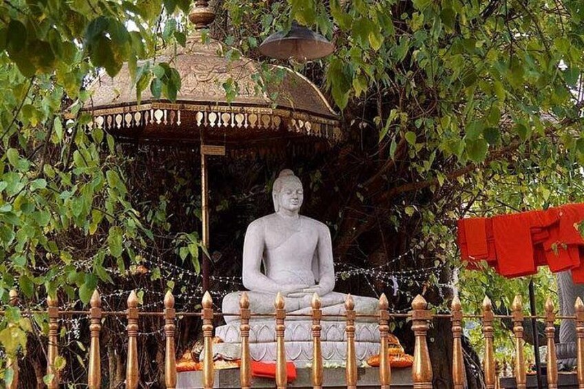 Statua del Buddha seduto in un contesto templare, circondata da una recinzione e alberi. 2