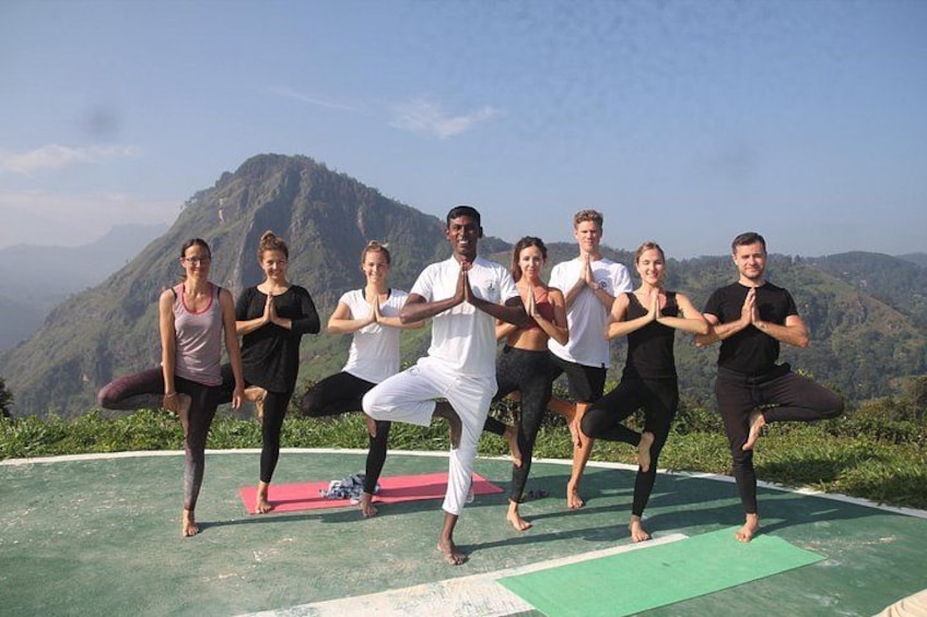 A group of people performing yoga on mats with a mountainous landscape in the background. 1