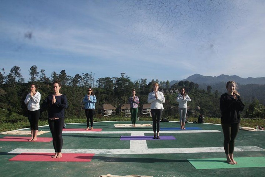 Un groupe de personnes pratiquant le yoga en plein air, sur des tapis. 3
