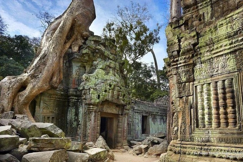Een oud tempel met ingewikkelde gravures en een grote boom ervoor. 2