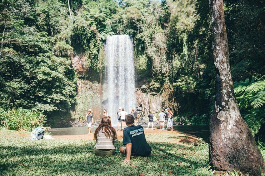 Une cascade entourée d’une végétation luxuriante, où des personnes se tiennent à l’observer et sont assises sur l’herbe. 5
