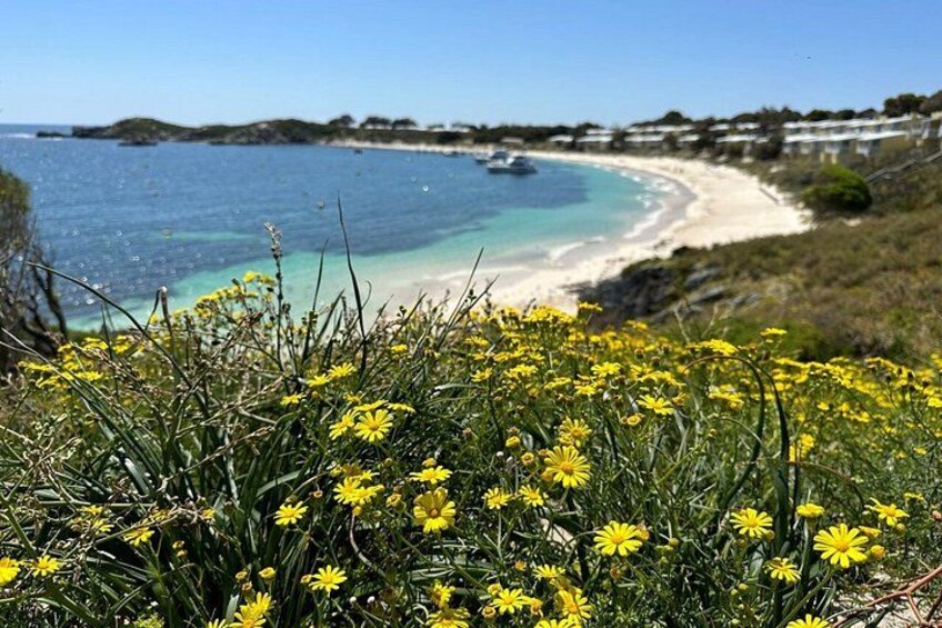 Rottnest Island Roundtrip Fast Ferry from Hillarys Boat Harbour 2
