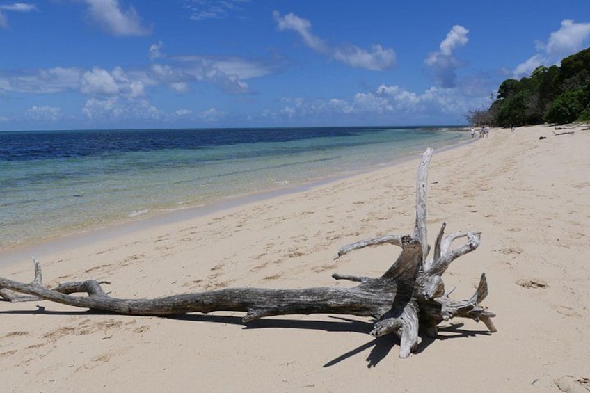 Have a stroll along the beach 3