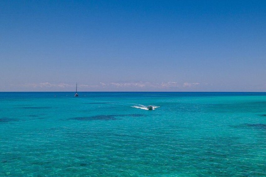 Tender to Green Island 2
