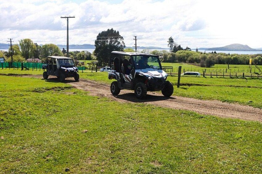 Rotorua Off-Road 4WD Buggy Adventure 2
