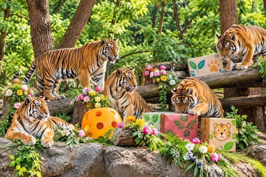 Private Everland Theme Park tour 2