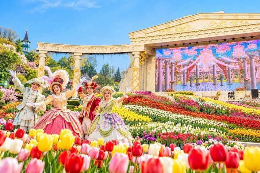 Private Everland Theme Park tour 4